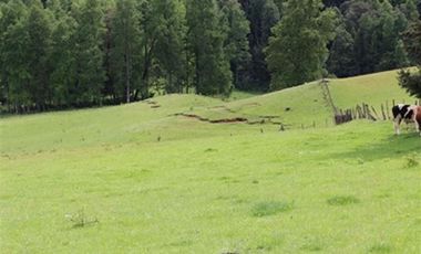 Agrícola en Venta en A 12 Kms de Villarica sector Relun