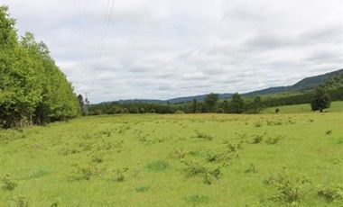 Agrícola en Venta en A 12 Kms de Villarica sector Relun