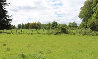 Agrícola en Venta en A 12 Kms de Villarica sector Relun