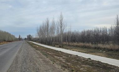 2 HECTAREAS CON TODOS LOS SERVICIOS - FRENTE A RUTA 6. GRAL ROCA- RECIBE PERMUTAS