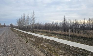 2 HECTAREAS CON TODOS LOS SERVICIOS - FRENTE A RUTA 6. GRAL ROCA- RECIBE PERMUTAS