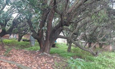 VENDO TERRENO EN SAN JUAN XALPA, IZTAPALAPA