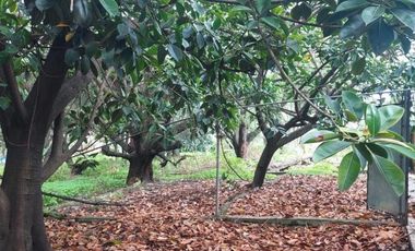 VENDO TERRENO EN SAN JUAN XALPA, IZTAPALAPA