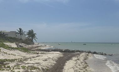 Terreno en la playa de San Benito, Yucatán