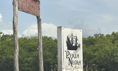 Terreno en la playa de San Benito, Yucatán