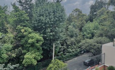 SEGURIDAD Y UBICACIÓN  CALLE CERRADA en LOMAS de CHAPULTEPEC