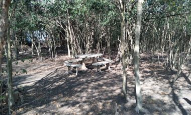Terreno en alquiler en La Plata - Dacal Bienes Raíces