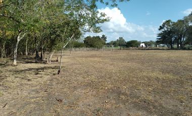 Terreno en alquiler en La Plata - Dacal Bienes Raíces