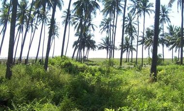 TERRENO FRENTE A PLAYA - PLAYA AZUL / ERENDIRA CERCA LAZARO CARDENAS MICHOACAN