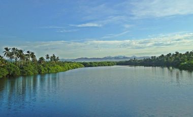 TERRENO FRENTE A PLAYA - PLAYA AZUL / ERENDIRA CERCA LAZARO CARDENAS MICHOACAN