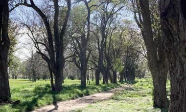 VENTA CASA 3 AMB JARDÍN COCHERA MONTE GRANDE