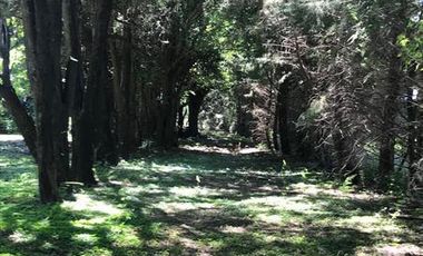 Casa Quinta en Pérez. A 20 min. de Rosario. Soldini. Zavalla