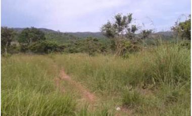 3 HAS VACANT LOT IN CORON PALAWAN FOR SALE