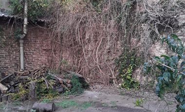 Casa - Jose Marmol