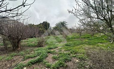 Parcela en Venta en El Molle