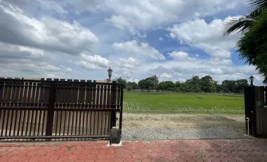 3 Bedroom House for sale in Nong Khwai, Chiang Mai