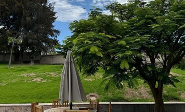Bosque Real de Santa Anita - N12