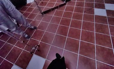 Casa en  Renta en Coyoacán muy cerca del hospital Naval Militar