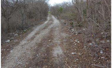 Terreno en Venta Dzilam Bravo