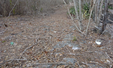 Terreno en Venta Dzilam Bravo