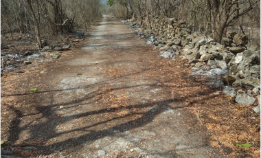 Terreno en Venta Dzilam Bravo