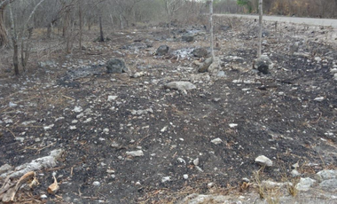 Terreno en Venta Dzilam Bravo