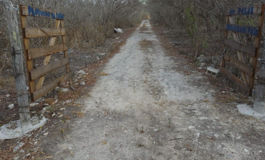 Terreno en Venta Dzilam Bravo