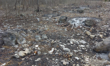 Terreno en Venta Dzilam Bravo