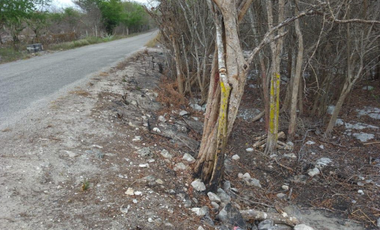 Terreno en Venta Dzilam Bravo