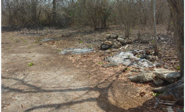 Terreno en Venta Dzilam Bravo