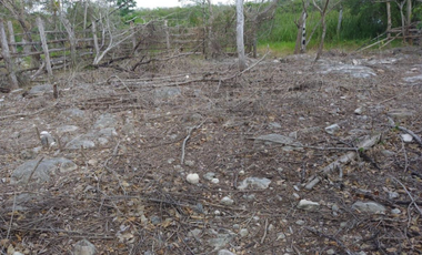 Terreno en Venta Dzilam Bravo