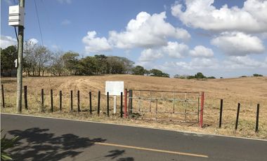 FINCA A LA VENTA EN HIGUERA DE CHEPO