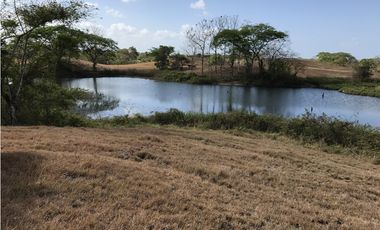 FINCA A LA VENTA EN HIGUERA DE CHEPO