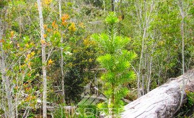Parcela en Venta en Puente Chacao