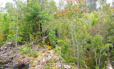 Parcela en Venta en Puente Chacao