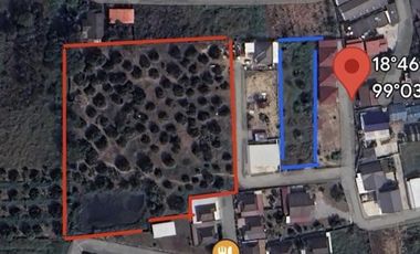 Land for sale in San Klang, Chiang Mai