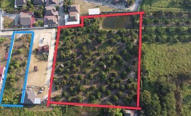 Land for sale in San Klang, Chiang Mai