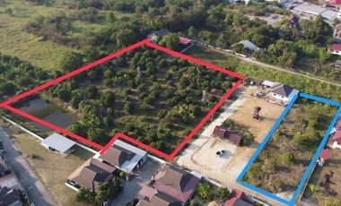 Land for sale in San Klang, Chiang Mai
