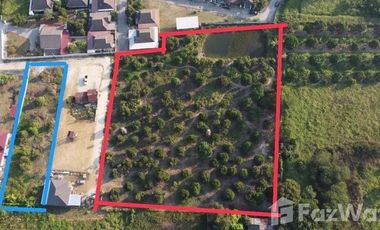 Land for sale in San Klang, Chiang Mai