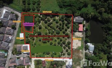 Land for sale in San Klang, Chiang Mai
