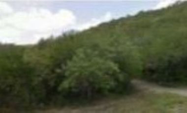 LLERA DE CANALES TERRENO VENTA TAMAULIPAS
