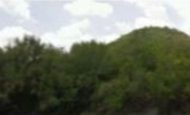 LLERA DE CANALES TERRENO VENTA TAMAULIPAS