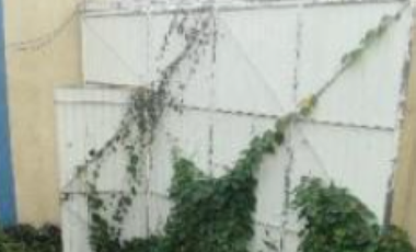 VICENTE LOPEZ COLONIA LA ANTIGUA CARDEL VERACRUZ