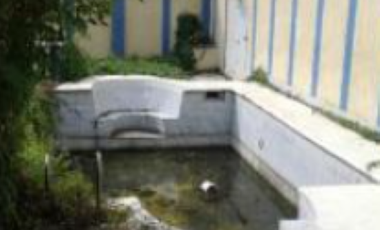 VICENTE LOPEZ COLONIA LA ANTIGUA CARDEL VERACRUZ