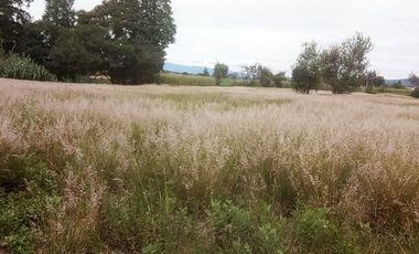 Terreno, Venta, Magdalena Tlaltelulco, Tlaxcala