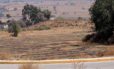 TENANGO DEL AIRE TERRENO HABITACIONAL EN VENTA EDOMEX.