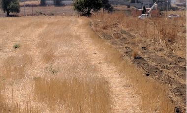 TENANGO DEL AIRE TERRENO HABITACIONAL EN VENTA EDOMEX.