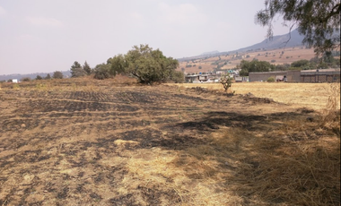 TENANGO DEL AIRE TERRENO HABITACIONAL EN VENTA EDOMEX.