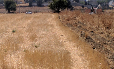 TENANGO DEL AIRE TERRENO HABITACIONAL EN VENTA EDOMEX.