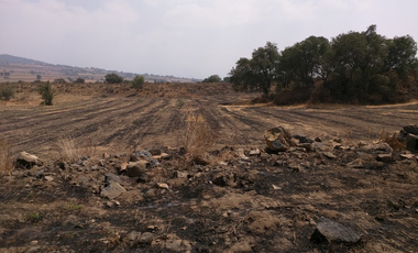 TENANGO DEL AIRE TERRENO HABITACIONAL EN VENTA EDOMEX.
